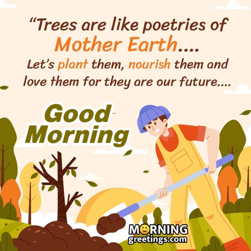 Good Morning Trees Quote Photo