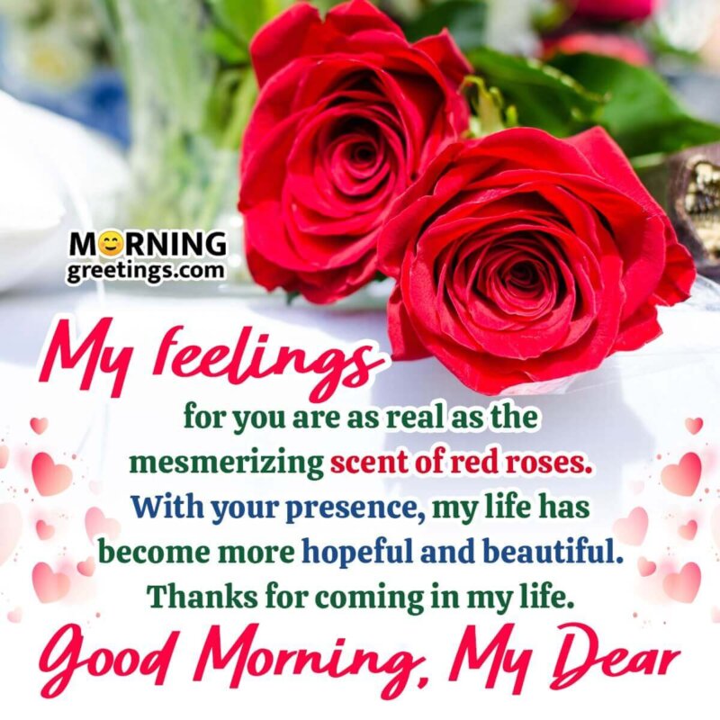 Red Roses Good Morning Message Pic