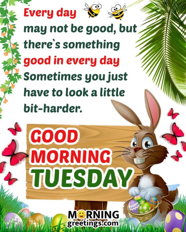 Wondeful Good Morning Tuesday