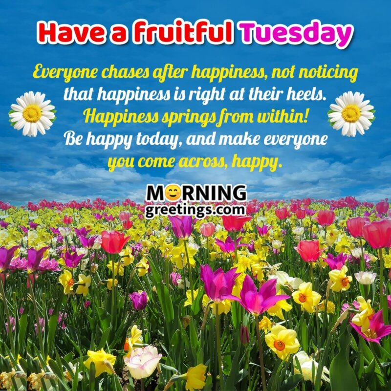 Fruitful Tuesday Happiness Quote