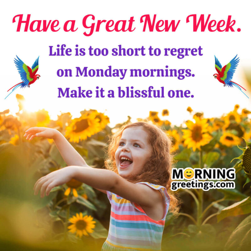Have A Great New Week Message Photo