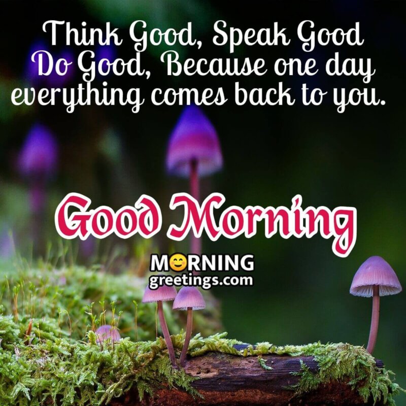 Beautiful Inspirational Good Morning Message Picture
