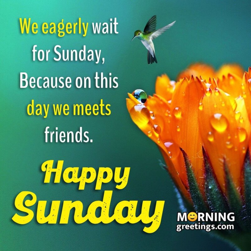 Happy Sunday Friends