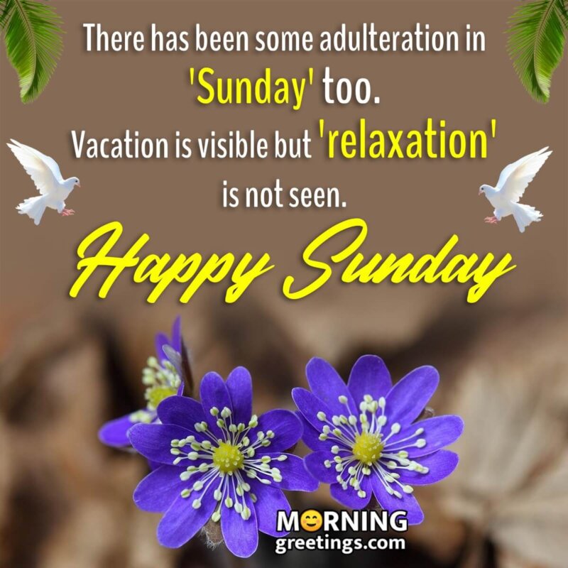 Happy Sunday Morning Quote