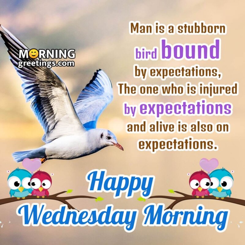 Happy Wednesday Morning Quote