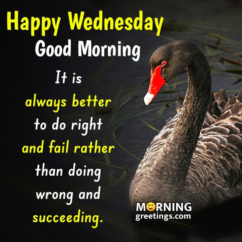 Happy Wednesday Morning Quotes