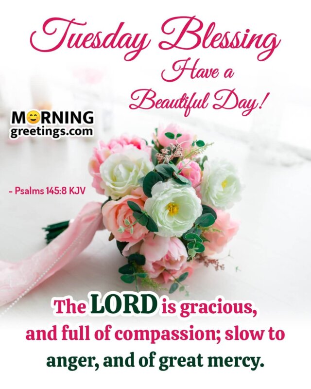 Beautiful Tuesday Morning Blessings