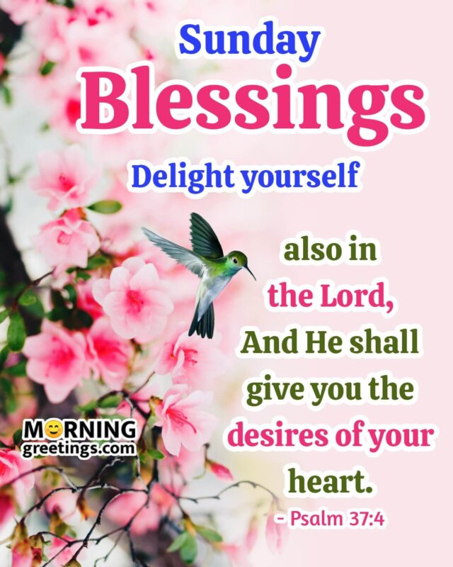 Sunday Blessings Delight Yourself