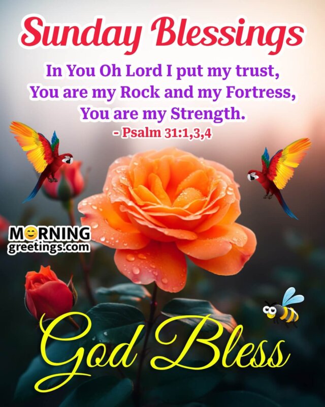 Sunday Blessings You Are My Strngth