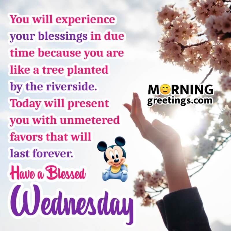 Blessed Wednesday Morning Pic