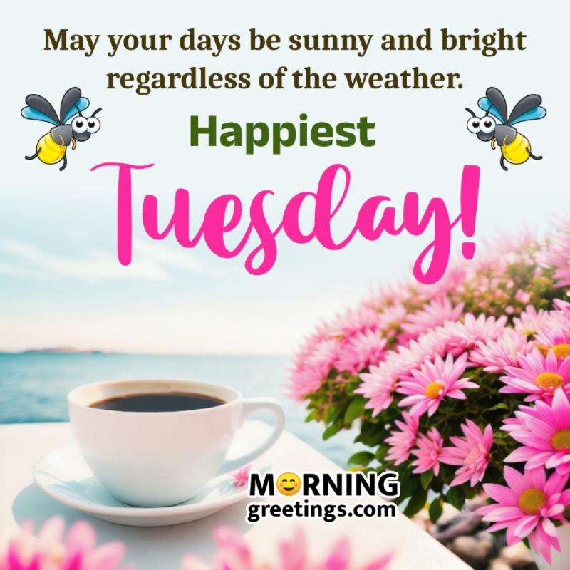 Happiest Tuesday Bright Wish Pic