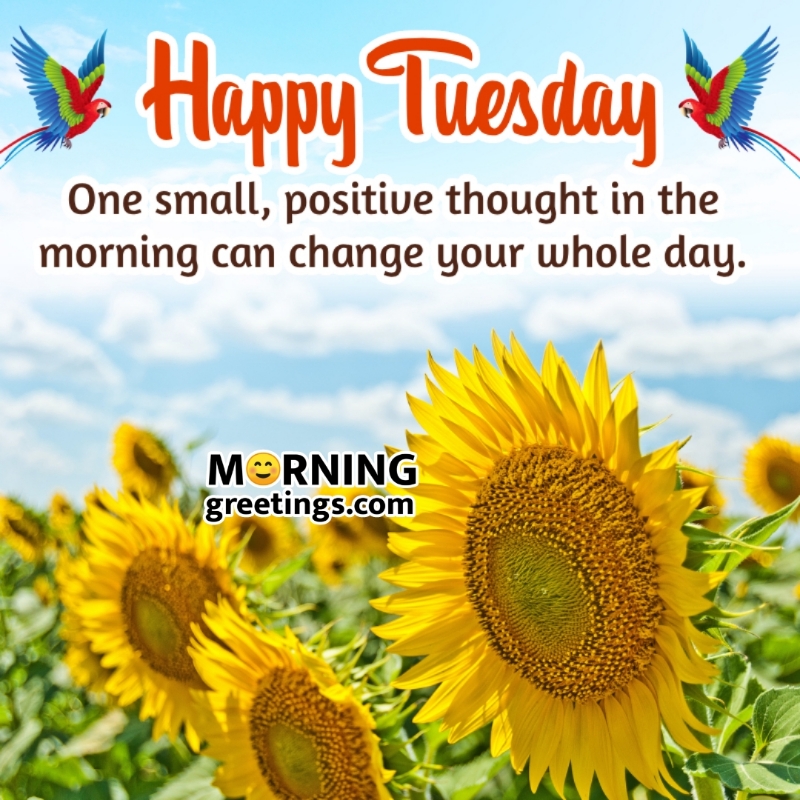 Happy Tuesday Positive Thought