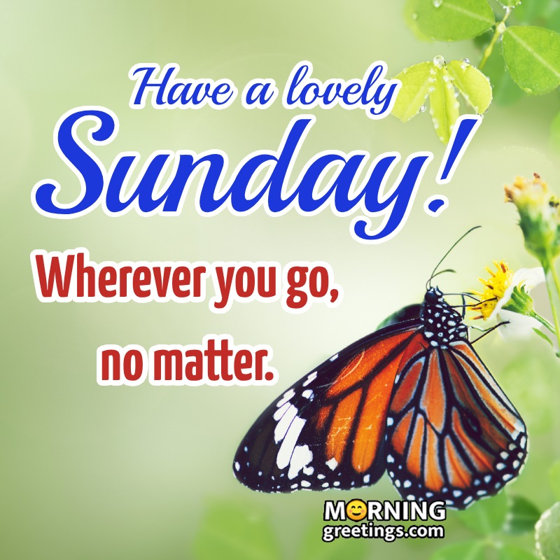 Have A Lovely Sunday!