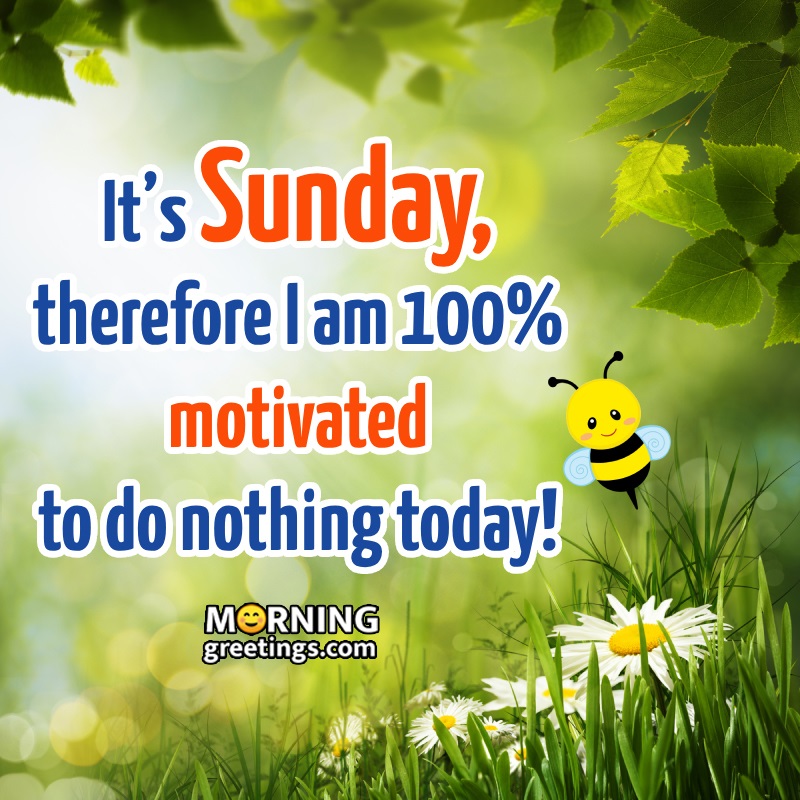 It’s Sunday, I Am 100% Motivated