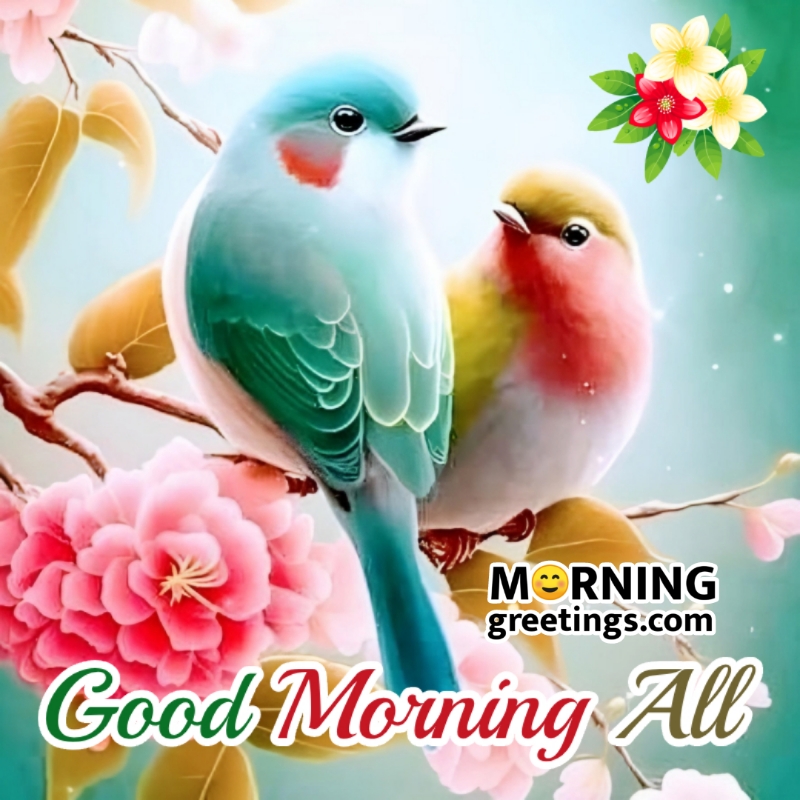 Beautiful Good Morning Birds Pictures