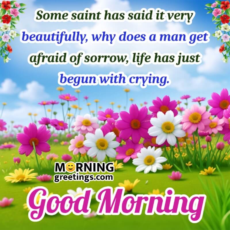 Beautiful Good Morning Message Photo