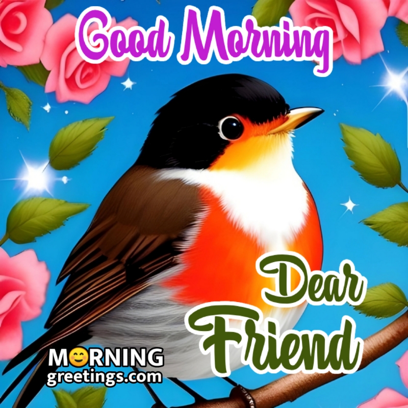 Good Morning Dear Friend Bird Photo