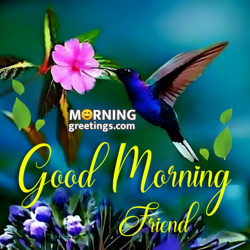 Good Morning Friend Bird Pic