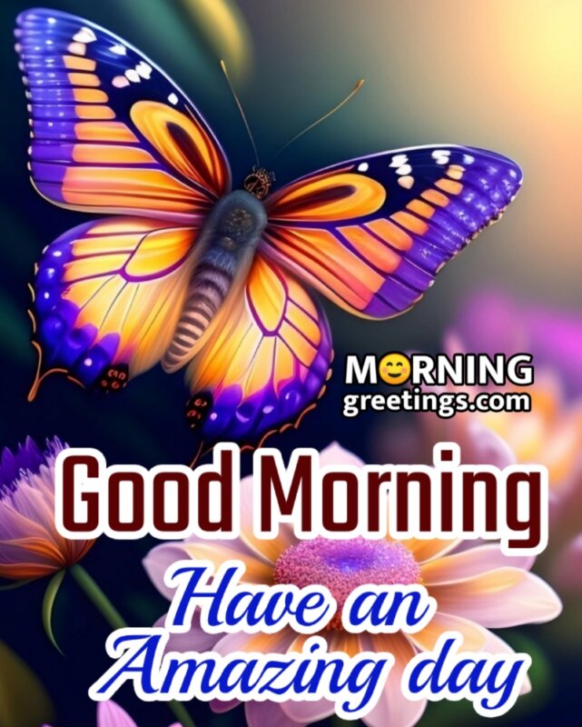 Amazing Good Morning Butterfly Picture