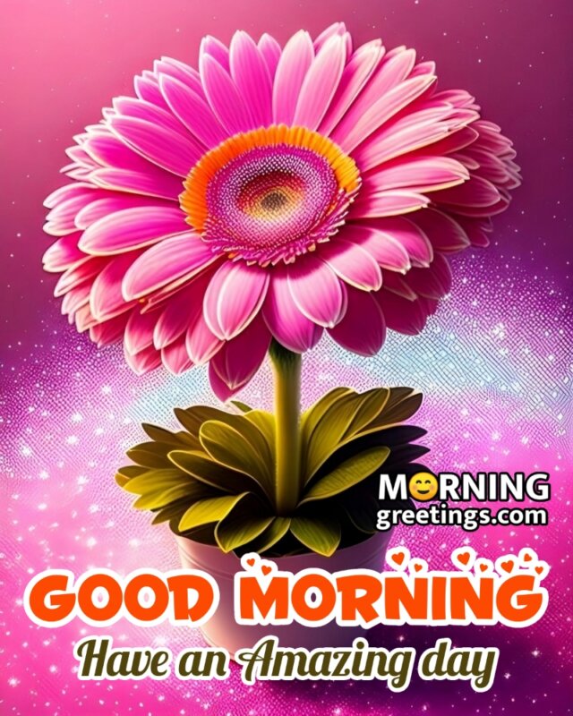 Amazing Good Morning Flowers