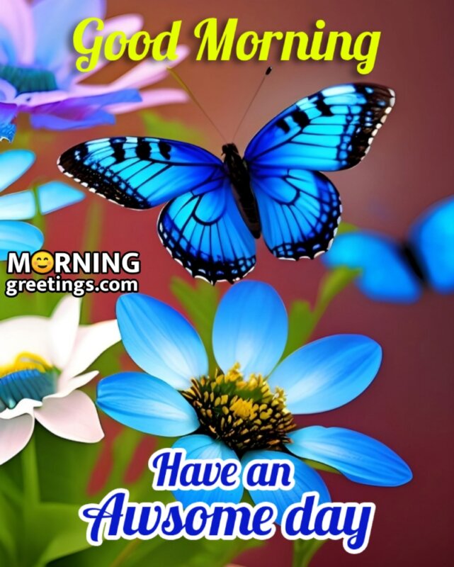 Awsome Good Morning Butterfly Picture