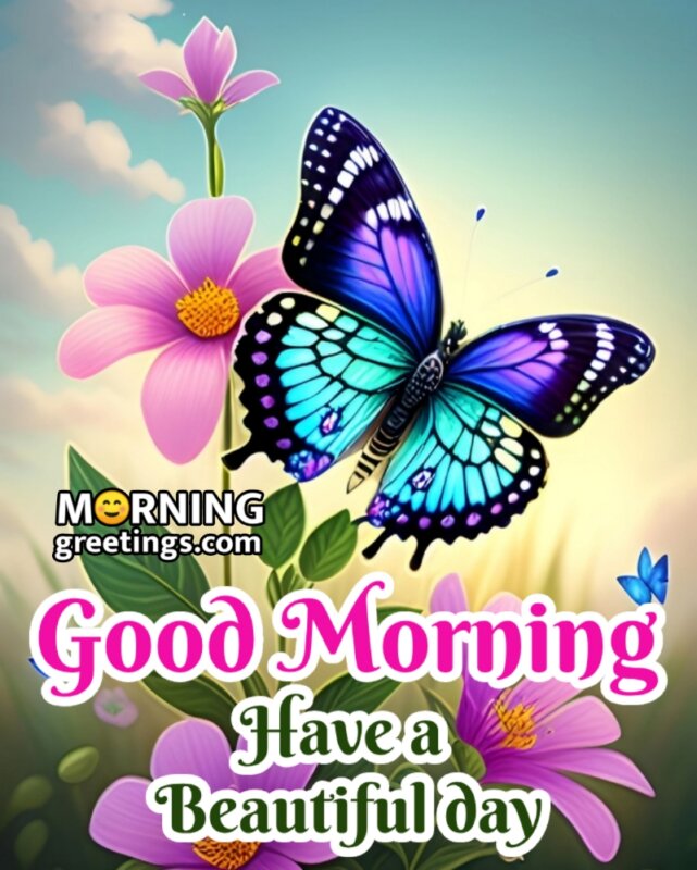 Beautiful Good Morning Butterfly Picture