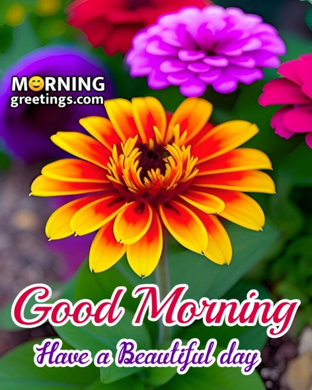 Beautiful Good Morning Flowers