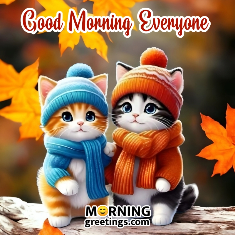 Cute Good Morning Cats Image