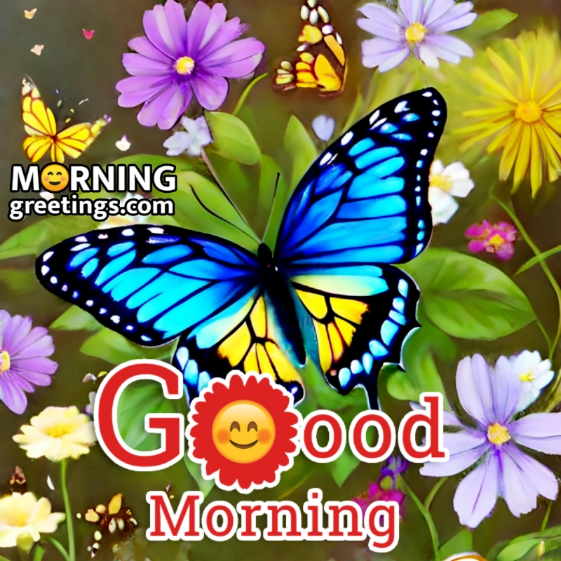 Fantastic Good Morning Butterfly Pics
