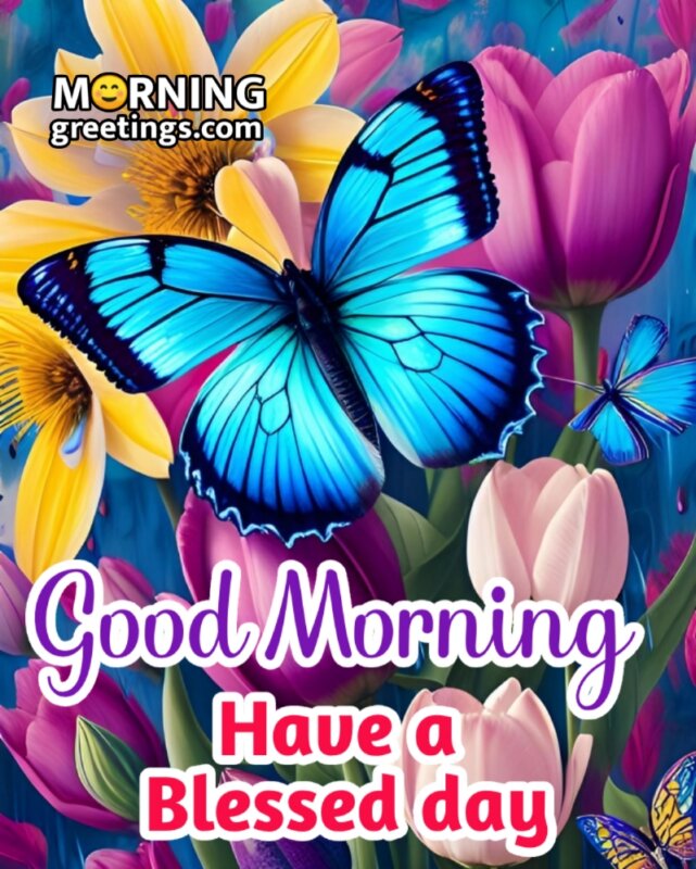 Good Morning Blessed Butterfly Pic