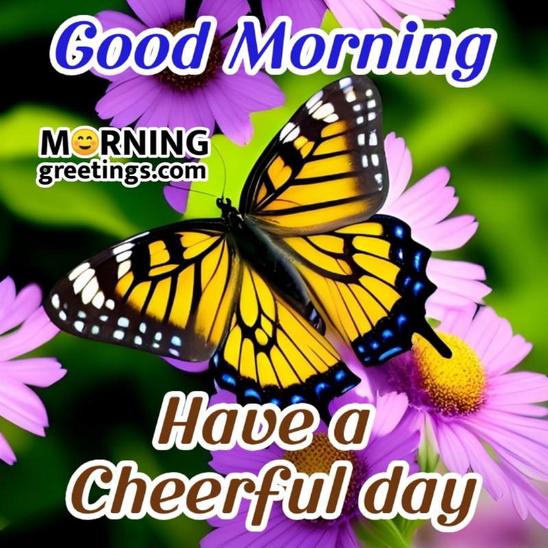 Good Morning Butterfly Pic For Cheerful Day