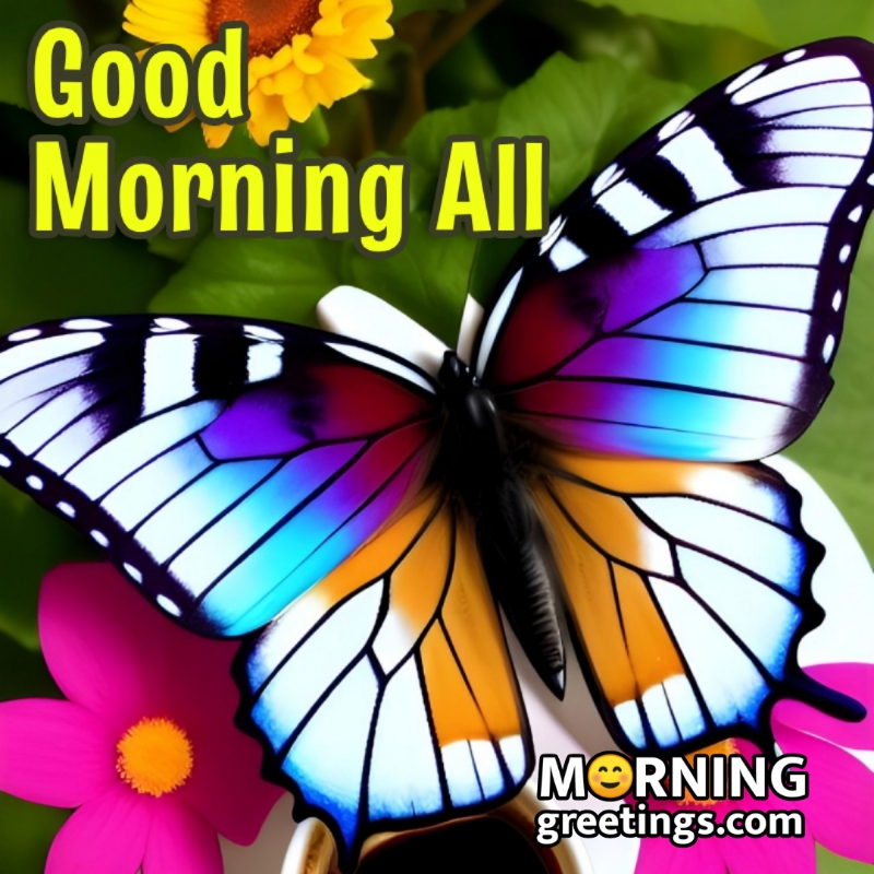 Good Morning Butterfly Picture