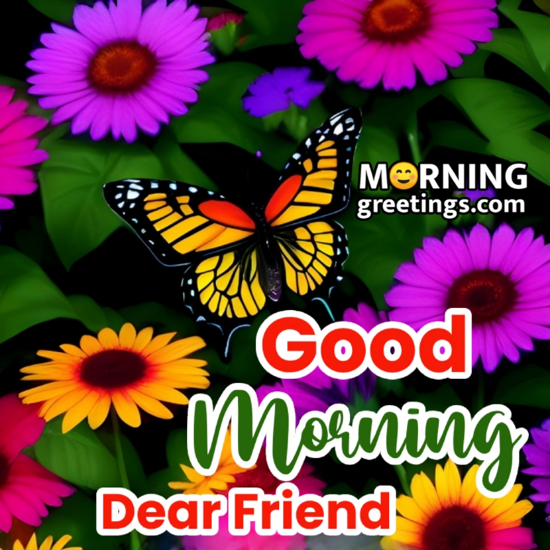 Good Morning Dear Friend Butterfly Pic