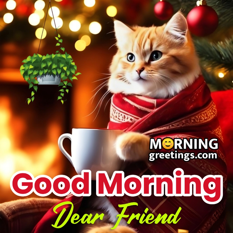Good Morning Dear Friend Cat Image