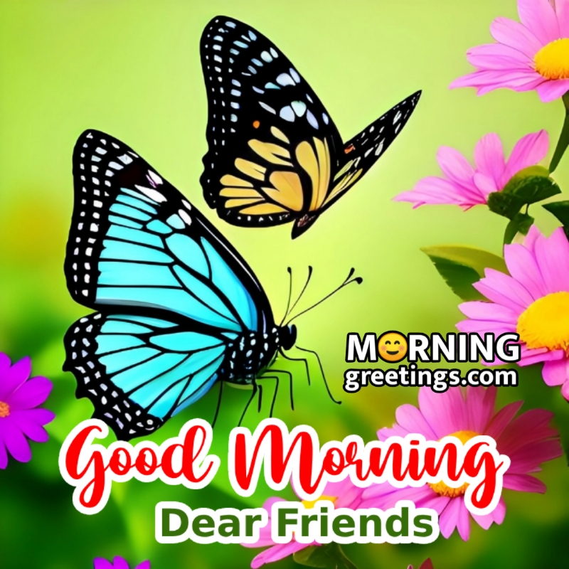 Good Morning Dear Friends Butterfly Picture