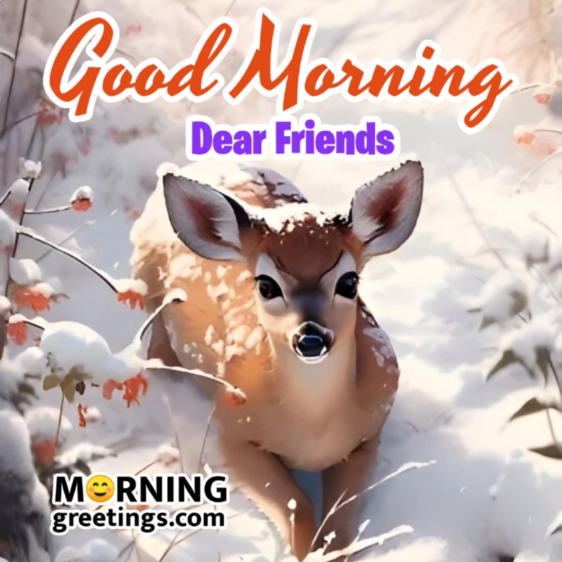 Good Morning Dear Friends Deer Image