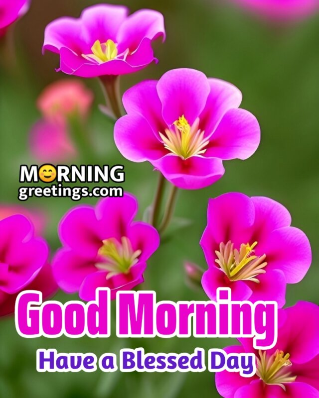 Good Morning Flowers For Blessed Day