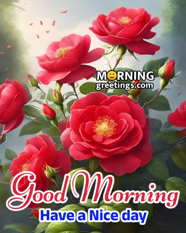 Good Morning Flowers For Nice Day