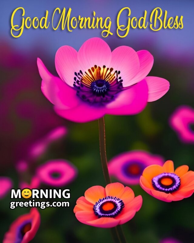Good Morning God Bless Flowers Image