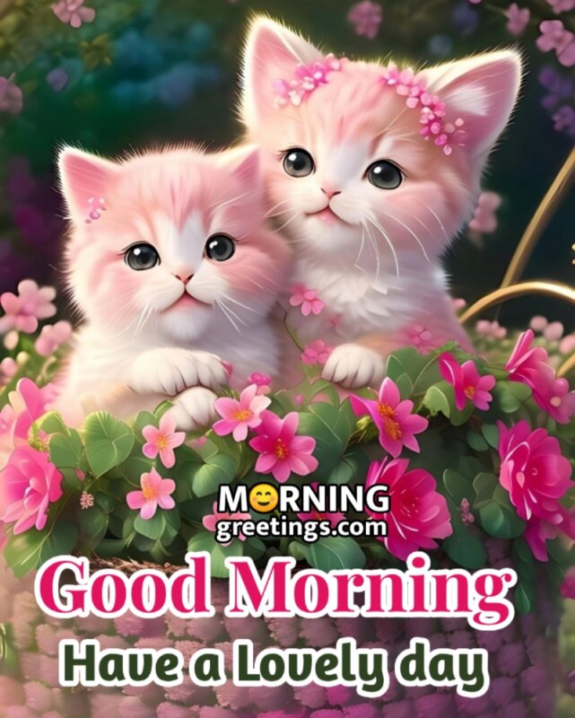 Good Morning Have A Lovely Day Cats Pic
