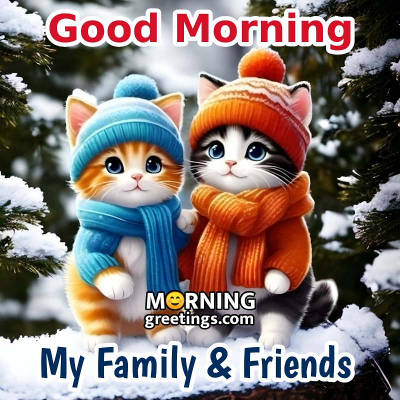 Good Morning My Family And Friends Cat Image