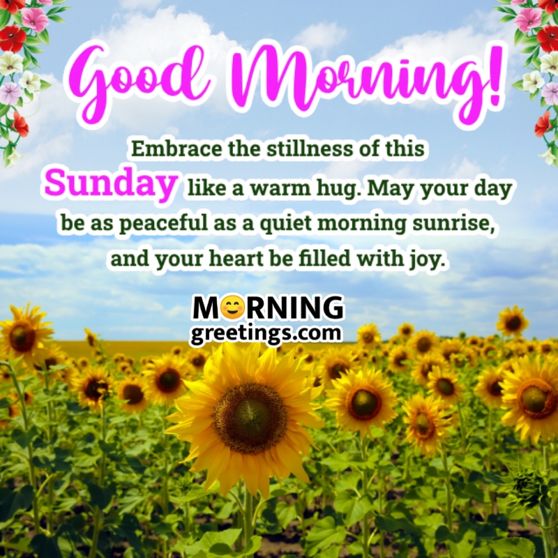 Good Morning Sunday Wish Picture