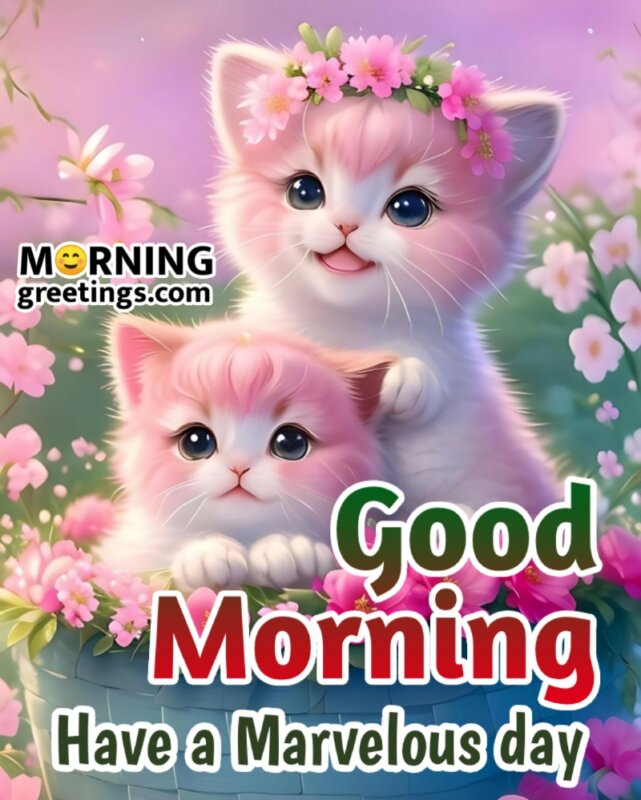 Marvelous Good Morning Cat Pic