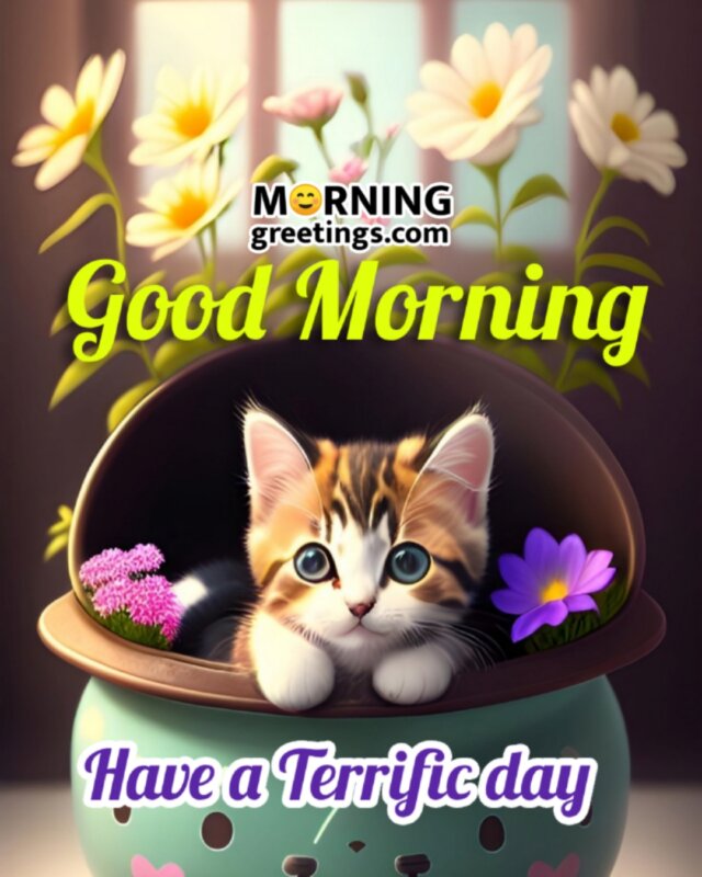 Terrific Good Morning Cat Picture