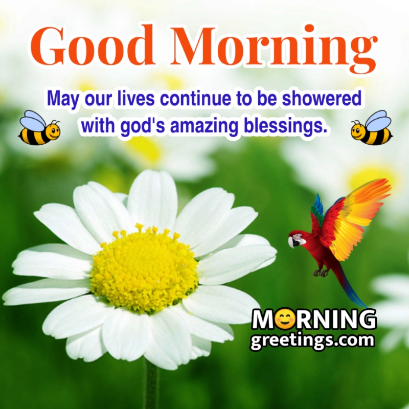 Good Morning God’s Amazing Blessings