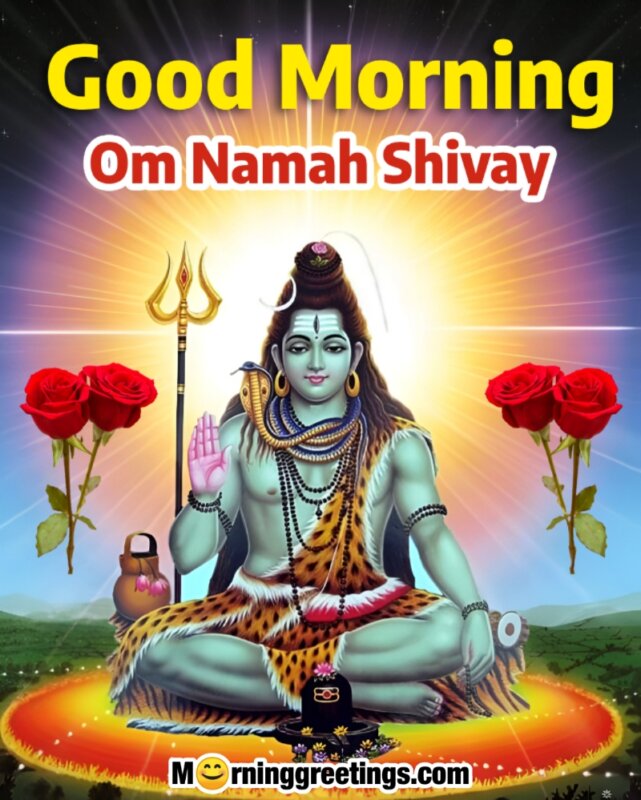 Good Morning Om Namah Shivay Image