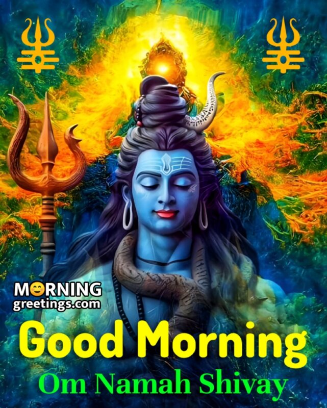 Good Morning Om Namah Shivay Photo