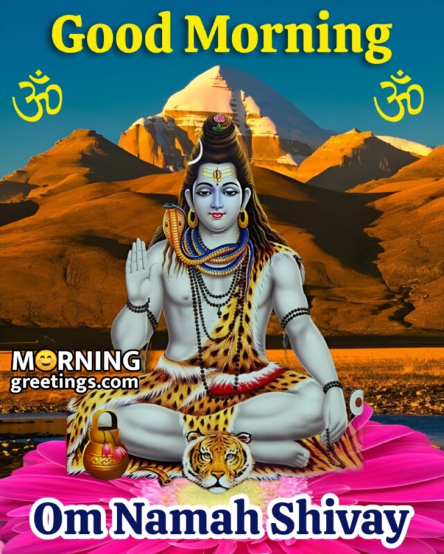 Good Morning Om Namah Shivay Picture
