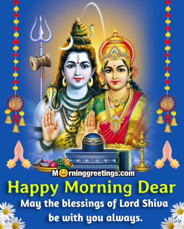 Happy Morning Shiva’s Blessings