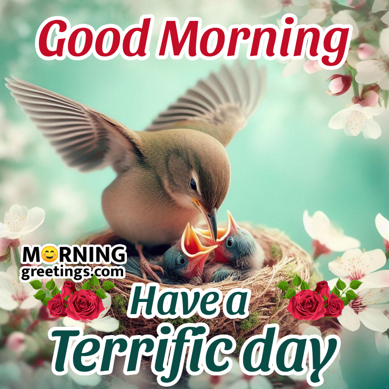 Beautiful Good Morning Have A Terrific Day Bird Pic